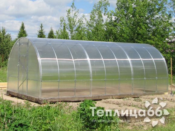 Теплица Рада 3М из поликарбоната, ширина 3 м